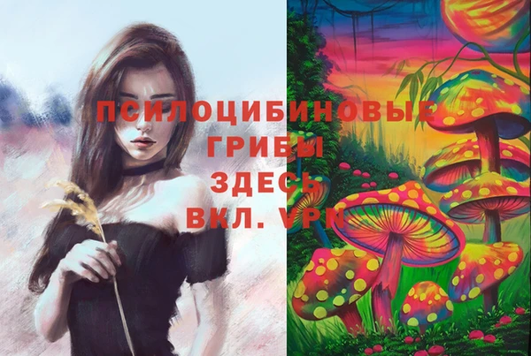 трава Шали