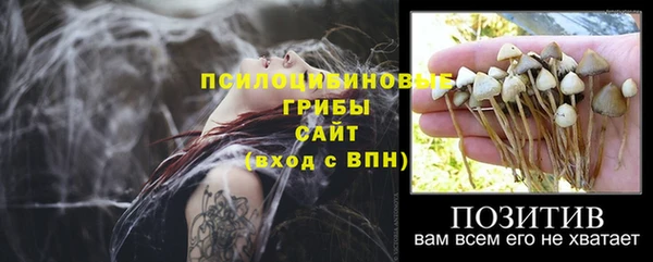apvp Михайлов
