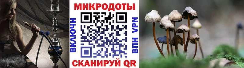 Галлюциногенные грибы мухоморы  Рыбное 